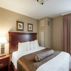 Отель Arlington Court Suites Hotel США, Арлингтон - отзывы, цены и фото номеров - забронировать отель Arlington Court Suites Hotel онлайн детские мероприятия