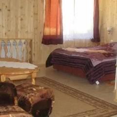Hotel Elitza Чепеларе комната для гостей фото 3