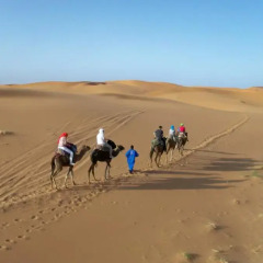Отель Kasbah Tamariste Марокко, Мерзуга - отзывы, цены и фото номеров - забронировать отель Kasbah Tamariste онлайн приотельная территория фото 2