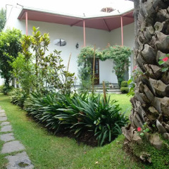 Отель La Casa de las Magnolias Мексика, Мехико - отзывы, цены и фото номеров - забронировать отель La Casa de las Magnolias онлайн фото 8