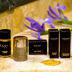 Savoy Hotel 4* Стандартный номер с различными типами кроватей фото 15