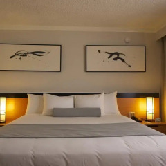 Miyako Hotel Los Angeles 3* Номер Делюкс с различными типами кроватей фото 2