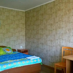 Hostel Mnogoborets F. Klub Стандартный номер с различными типами кроватей фото 3