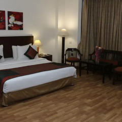 Goodwill Hotel Delhi комната для гостей фото 3