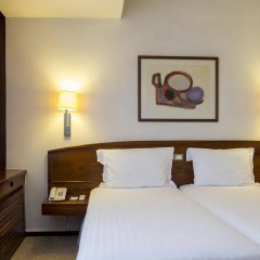 Hotel Dom Carlos Park 3* Стандартный номер с различными типами кроватей фото 8