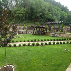 Отель Guest House Pekliuk