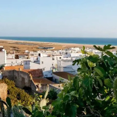 Отель Hostal Los Bateles Испания, Кониль-де-ла-Фронтера - отзывы, цены и фото номеров - забронировать отель Hostal Los Bateles онлайн пляж фото 2