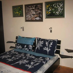 Апартаменты Alexander Business Apartments Люкс с различными типами кроватей фото 2