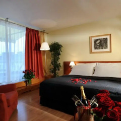 Art Hotel Praha 4* Полулюкс