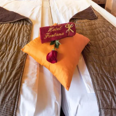 Fontana Hotel Нови Сад спа фото 2