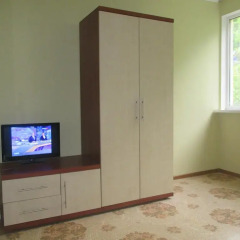 Апартаменты Apartment Vinogradny Sad Сочи удобства в номере фото 2
