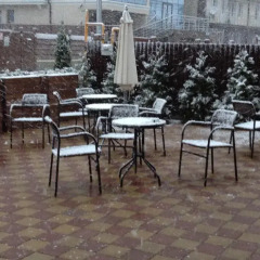 Гостиница Галла питание