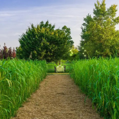 Отель La Posa degli Agri Италия, Лимена - отзывы, цены и фото номеров - забронировать отель La Posa degli Agri онлайн фото 5