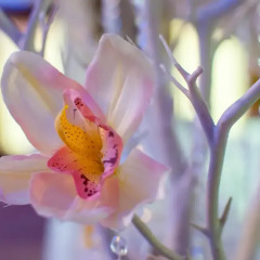Hotel Nevis Wellness & SPA развлечения