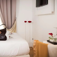 Argentina Residenza Style Hotel 4* Стандартный номер с двуспальной кроватью фото 2