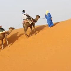 Отель Kasbah Tamariste Марокко, Мерзуга - отзывы, цены и фото номеров - забронировать отель Kasbah Tamariste онлайн развлечения