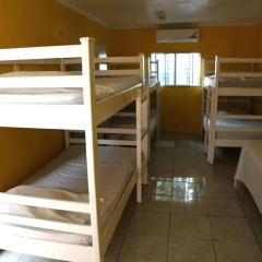 Reggae Hostel Стандартный номер с различными типами кроватей фото 2