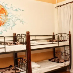 Olive Hostel удобства в номере фото 3