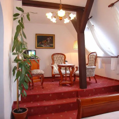 Opera Hotel 4* Стандартный номер с разными типами кроватей фото 12