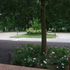 Отель Agriturismo Le 4 Rose Мазера-ди-Падова парковка