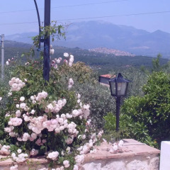 Отель B&B H.M. Сперлонга фото 4