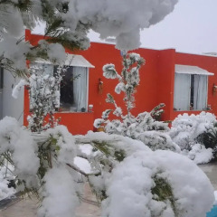 Отель Cabañas El Naranjo Сан-Рафаэль
