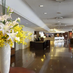 Akasaka Excel Hotel Tokyu 3* Стандартный номер с различными типами кроватей фото 3