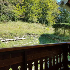 Отель Gasperin Bohinj 3* Стандартный номер с двуспальной кроватью фото 8