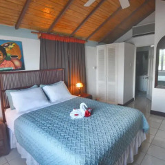 Отель Moon San Villa at the Blue Lagoon Ямайка, Порт Антонио - отзывы, цены и фото номеров - забронировать отель Moon San Villa at the Blue Lagoon онлайн комната для гостей фото 5