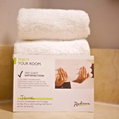 Отель Radisson Hotel Ottawa Parliament Hill Канада, Оттава - отзывы, цены и фото номеров - забронировать отель Radisson Hotel Ottawa Parliament Hill онлайн ванная фото 2