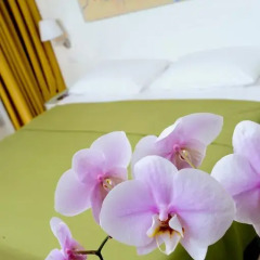 Отель All Suites Island Hotel Istra Хорватия, Ровинь - отзывы, цены и фото номеров - забронировать отель All Suites Island Hotel Istra онлайн удобства в номере