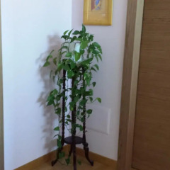 Отель Garden B&B Ареццо удобства в номере
