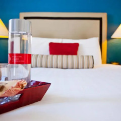 Отель The Alpine Inn & Suites 2* Стандартный номер с различными типами кроватей фото 7
