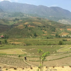 Отель Muong Hoa Homestay фото 7