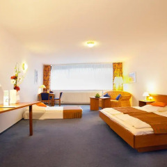 Centro Hotel Celler Tor 3* Стандартный номер с различными типами кроватей фото 8