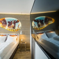 Отель Cocoon Hauptbahnhof 3* Номер Делюкс с различными типами кроватей фото 3