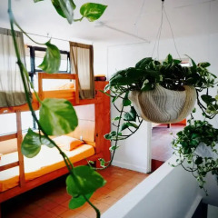 Blue Pepper Hostel Chapultepec Кровать в общем номере