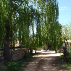 Отель El Molino De Iramala Патерна-дель-Мадера фото 3