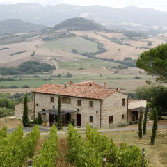 Отель Fontemorsi Agriturismo Монтескудаио фото 6