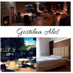 Отель Guesthouse Aleš бассейн