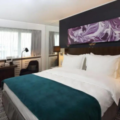 Radisson Blu Hotel Lietuva 4* Стандартный номер фото 3