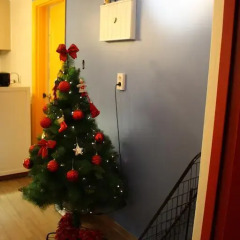 Moon Hostel