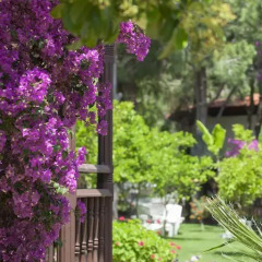 Letoonia Golf Resort Турция, Белек - 2 отзыва об отеле, цены и фото номеров - забронировать отель Letoonia Golf Resort онлайн фото 2
