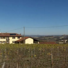 Отель B&B La Gibiana Костиглиоле-д'Асти фото 12