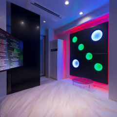 HOTEL THE HOTEL Shinjuku Kabukicho - Adult Only 3* Стандартный номер с двуспальной кроватью фото 5