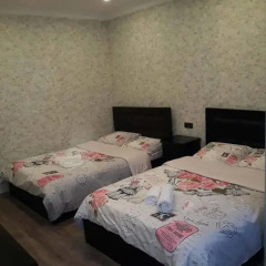 Отель Guets House Brothers Грузия, Тбилиси - отзывы, цены и фото номеров - забронировать отель Guets House Brothers онлайн комната для гостей фото 5