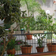 Апартаменты Apartment Casa Francesca Сиракуза фото 9