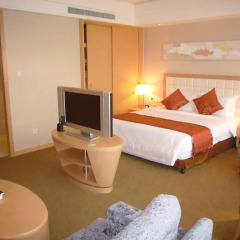 Grand Metropark Hotel Suzhou 4* Номер Делюкс с различными типами кроватей фото 2