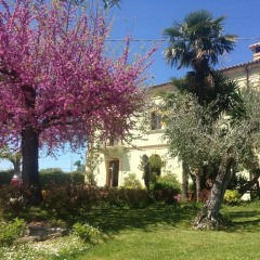 Отель Villa Vetiche Рокка-Сан-Джованни фото 5