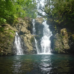 Отель Taveuni Palms Resort - All Inclusive Фиджи, Остров Тавеуни - отзывы, цены и фото номеров - забронировать отель Taveuni Palms Resort - All Inclusive онлайн приотельная территория фото 2